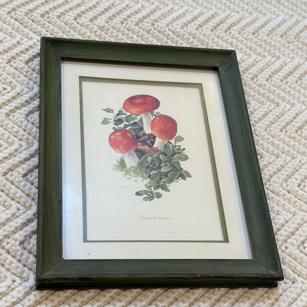 Vintage Botanical Mushroom Art Framed Russula Emetica Cottage‎ Woodland Print
